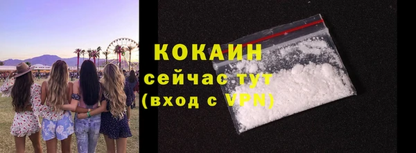 молекула духа Белоозёрский