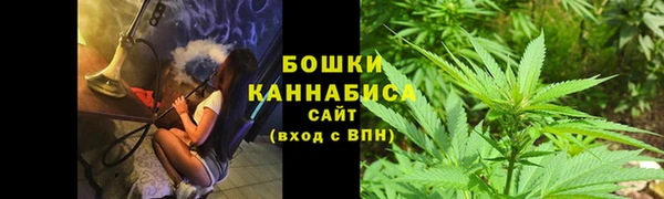 молекула духа Белоозёрский