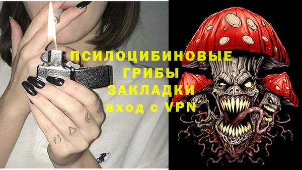 СК Белокуриха