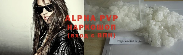 СК Белокуриха