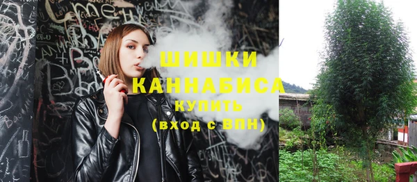 СК Белокуриха