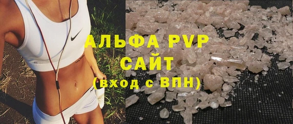 молекула духа Белоозёрский