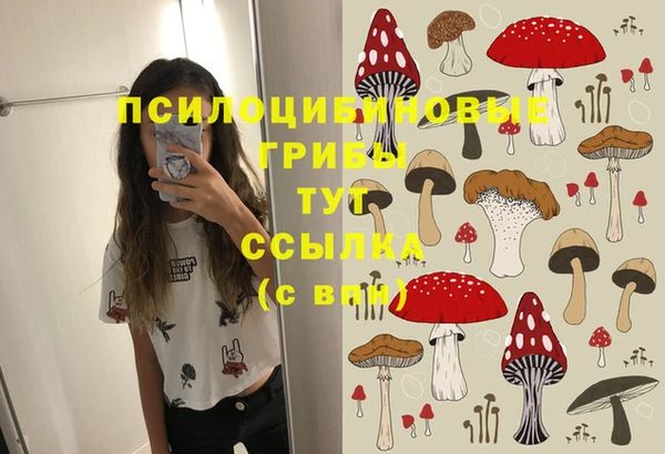 молекула духа Белоозёрский