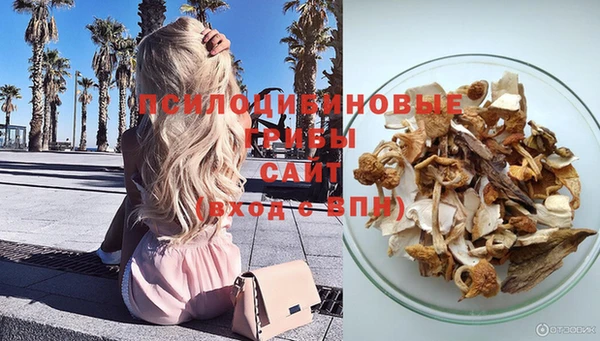 молекула духа Белоозёрский