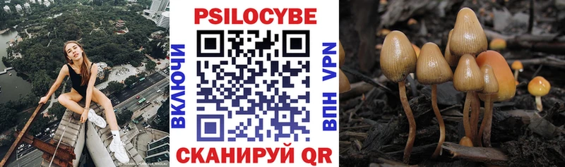 магазин    Горняк  Галлюциногенные грибы мицелий 